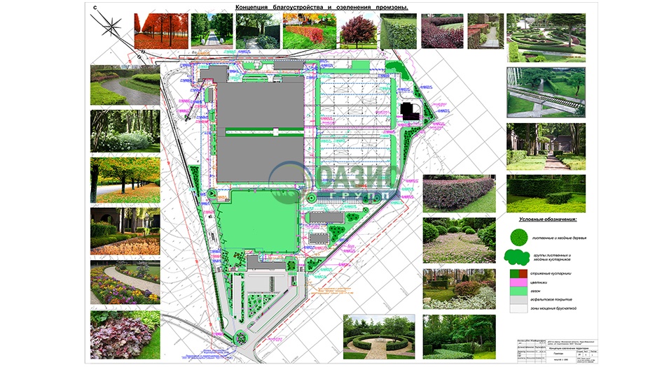 Пример 31. Разработка концепции озеленения и благоустройства для компании "МОРТОН", Нарофоминский район.